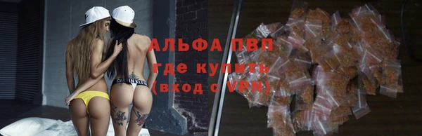 шишки Алзамай