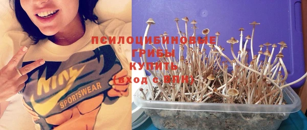 прущие грибы Алексин