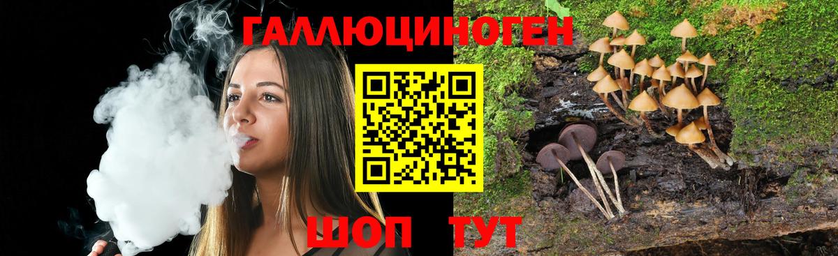 Псилоцибиновые грибы Psilocybine cubensis Домодедово